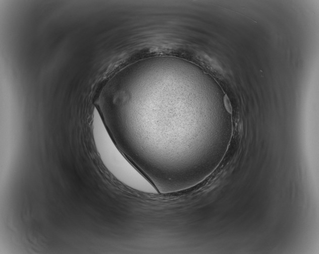 X0000086231012200704051151