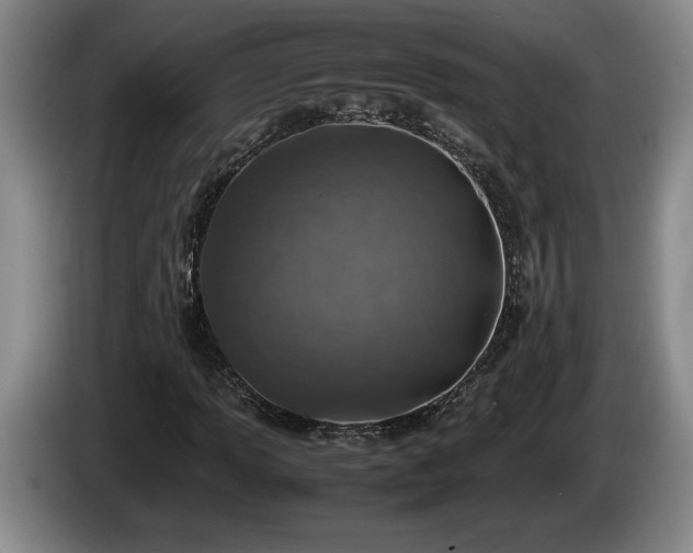 X0000086231013200704051151
