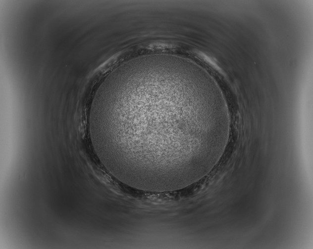 X0000086231015200704051151