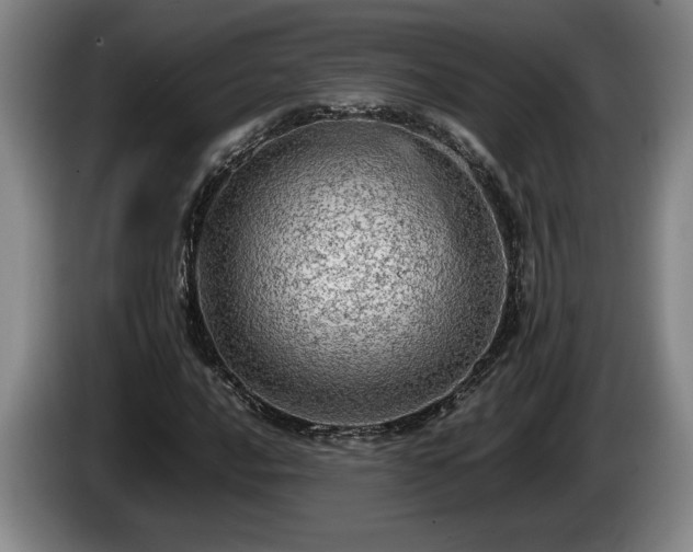 X0000086231016200704051151