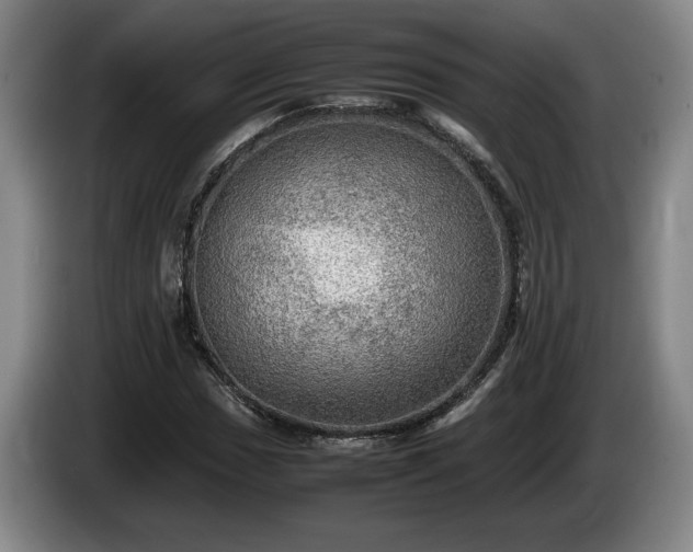 X0000086231017200704051152