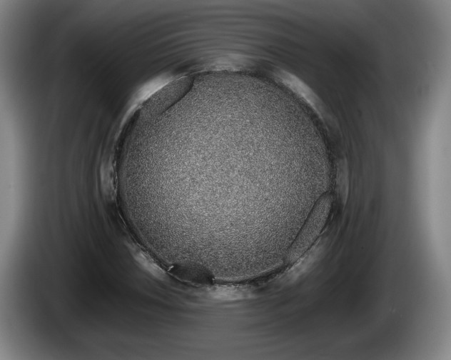 X0000086231018200704051152