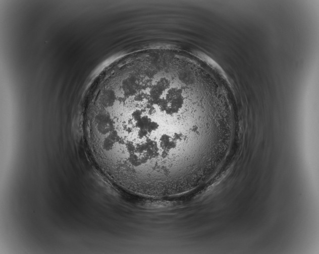 X0000086231019200704051152