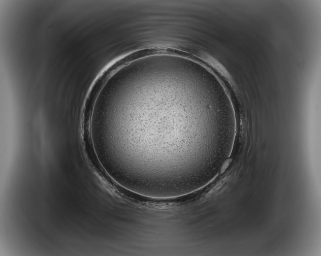 X0000086231020200704051152