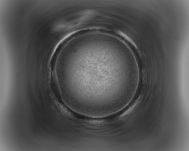 X0000086231021200704051152