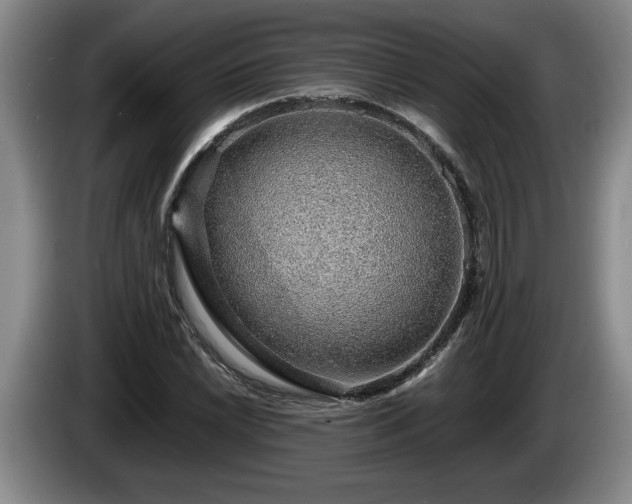 X0000086231022200704051152