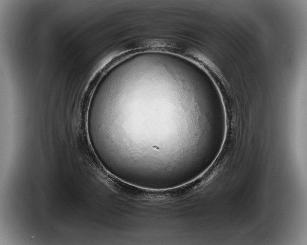 X0000086231023200704051152
