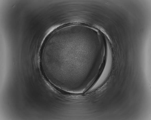 X0000086231024200704051152