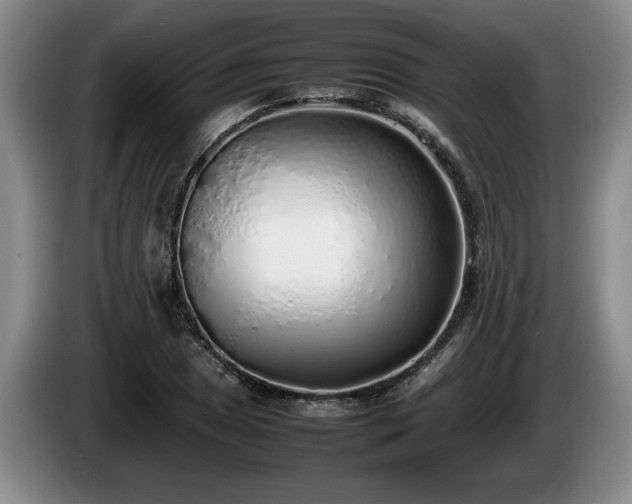 X0000086231025200704051152