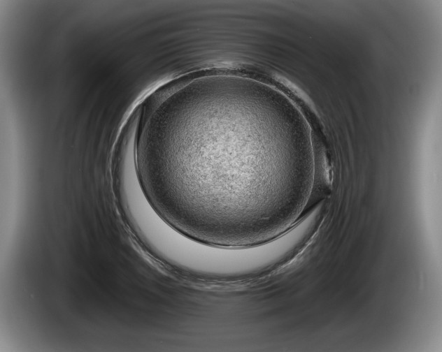 X0000086231026200704051152