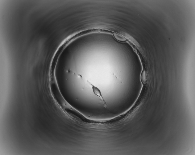 X0000086231028200704051152