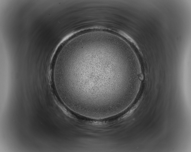 X0000086231029200704051152