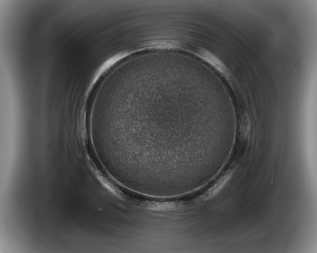 X0000086231030200704051152