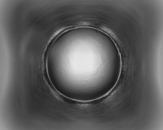 X0000086231031200704051152