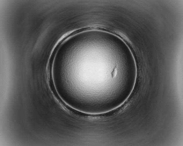 X0000086231032200704051152