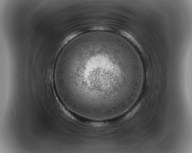 X0000086231033200704051152