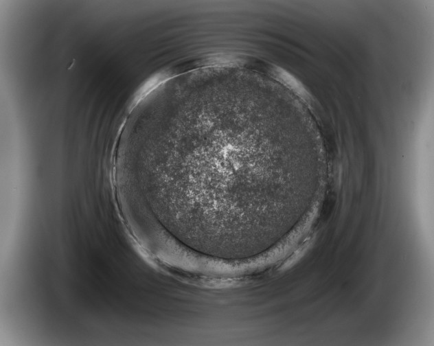X0000086231034200704051152