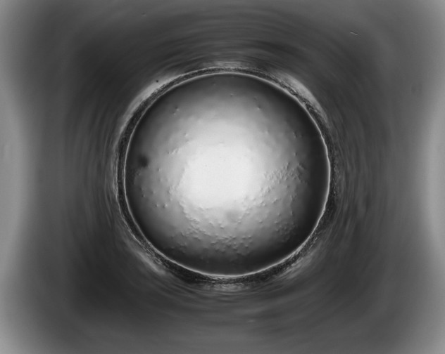 X0000086231035200704051152