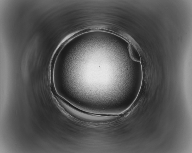 X0000086231036200704051152
