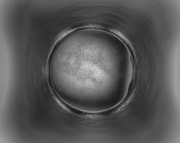 X0000086231037200704051152