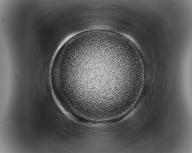 X0000086231038200704051152