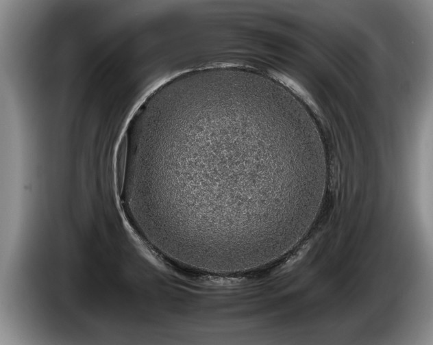 X0000086231039200704051152