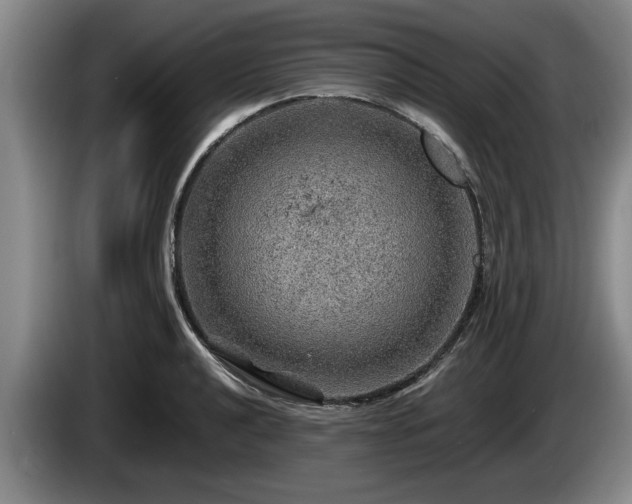 X0000086231040200704051152