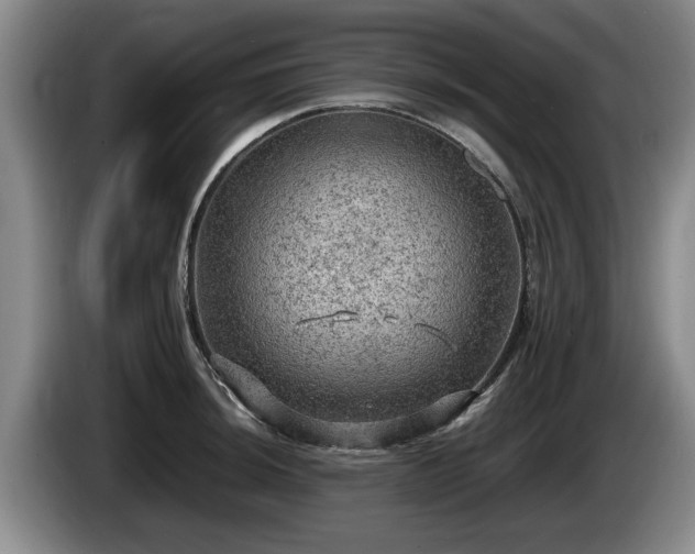 X0000086231044200704051152
