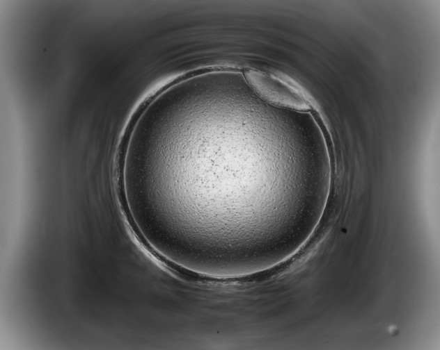 X0000086231045200704051152
