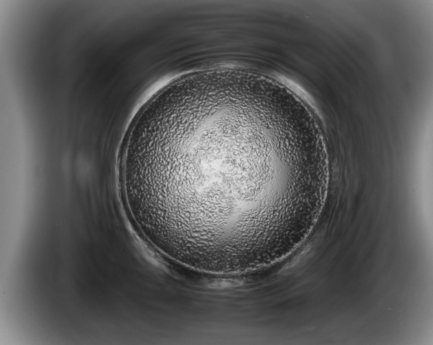 X0000086231047200704051152