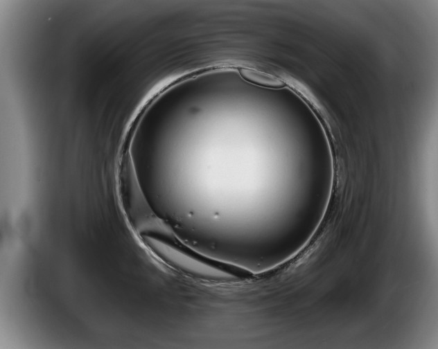 X0000086231048200704051152