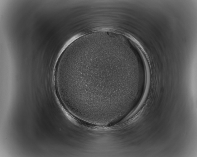 X0000086231050200704051152