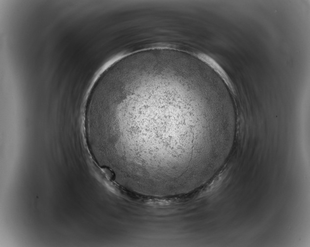 X0000086231051200704051152