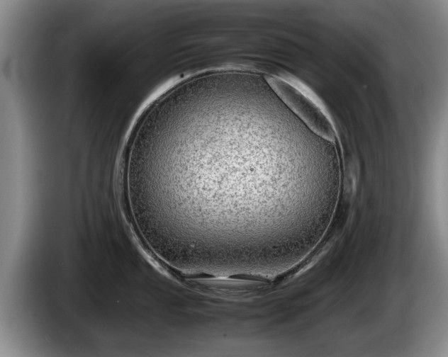 X0000086231053200704051152