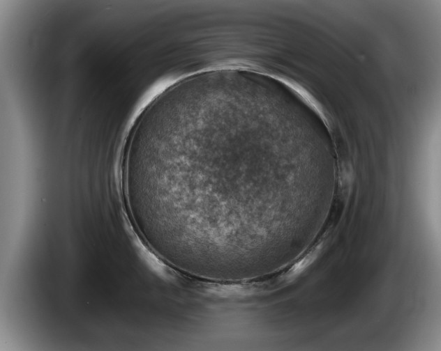 X0000086231054200704051152