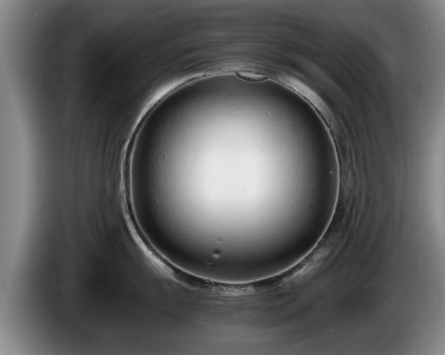 X0000086231055200704051152