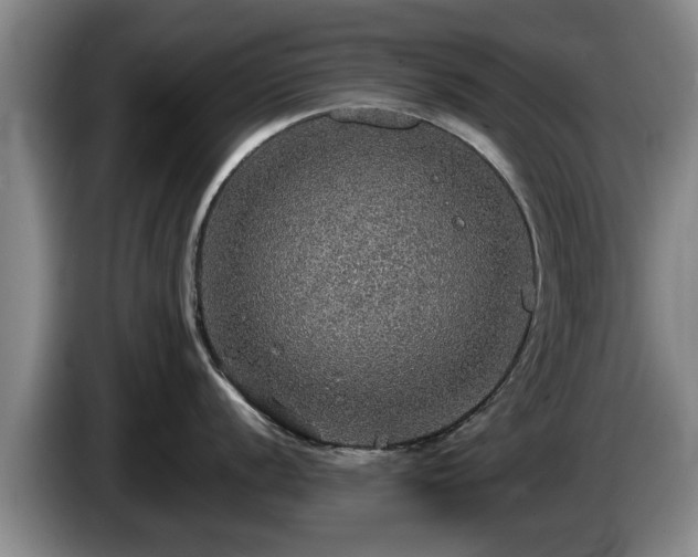 X0000086231056200704051152