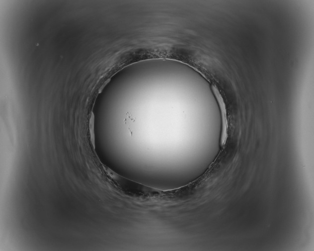 X0000086231057200704051151