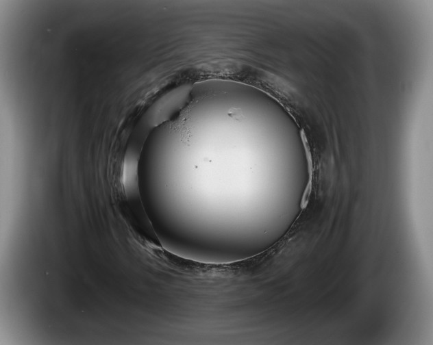 X0000086231058200704051151