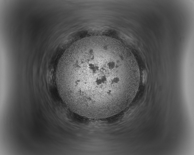 X0000086231059200704051151