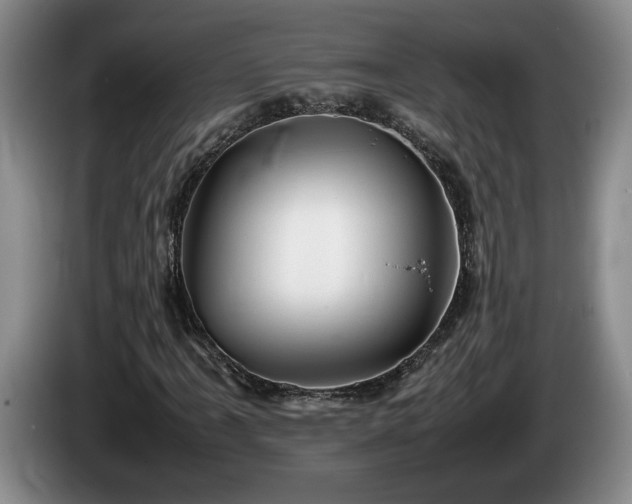 X0000086231061200704051151