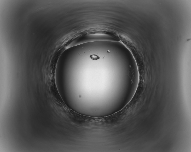X0000086231062200704051151