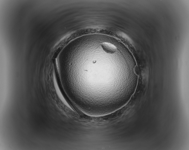 X0000086231064200704051151