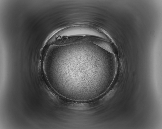 X0000086231066200704051151