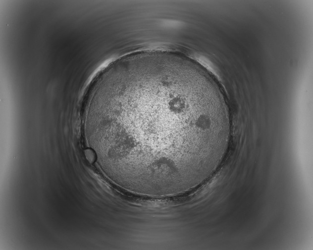 X0000086231067200704051151