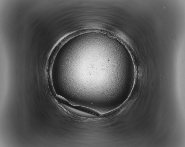 X0000086231068200704051151