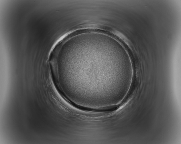 X0000086231069200704051151