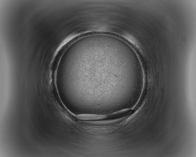 X0000086231070200704051151