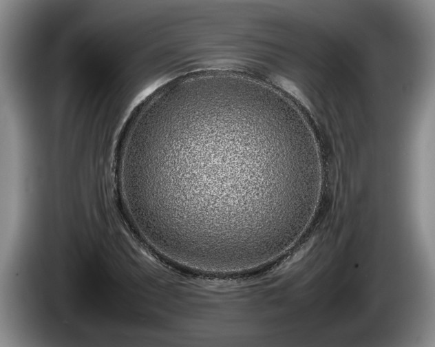 X0000086231071200704051151