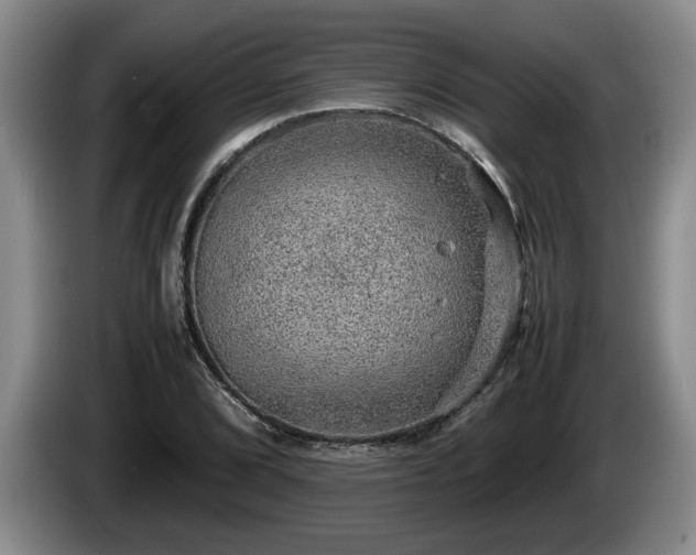 X0000086231072200704051151